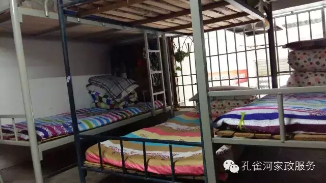 ��ȸ�Ӽ�����ķ������ů��ů�����ģ�